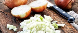 Onions are indispensable in cooking and folk medicine