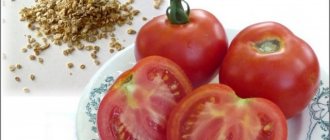 Collection of tomato hybrid seeds