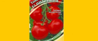 Tomato seeds Intuition