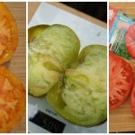 Siberian tomatoes; Mystery of nature, Malachite box, Siberian trend 