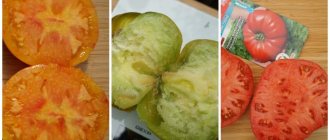 Siberian tomatoes; Mystery of nature, Malachite box, Siberian trend 