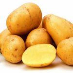 'Сорт картофеля "Ласунок"' width="700