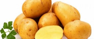 &#39;Potato variety &quot;Lasunok&quot;&#39; width=&quot;700