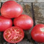 Tomato variety Scarlet frigate: description and photo