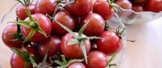cherry tomato variety