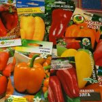 pepper varieties 2019