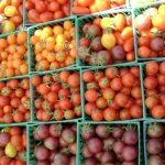 Variety of tomatoes