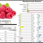 Composition of raspberry fruits Eurasia