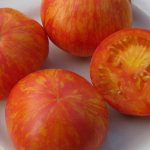 Сплеые томаты