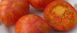 Сплеые томаты