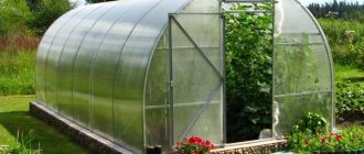 Polycarbonate greenhouse