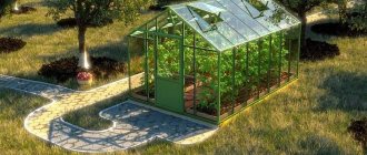 Glass greenhouse in the country