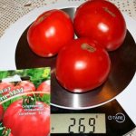Tomato Boni MM