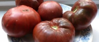 Tomato Gypsy: reviews, photos, yield