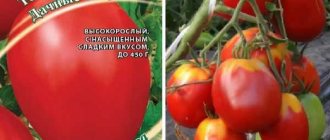 Tomato country bins characteristics and description of the variety