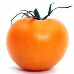 tomato orange photo