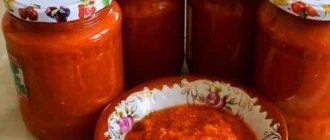 Top most delicious apple and tomato sauce recipes