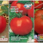 Packages of tomato seeds of the “White filling 241” variety from different manufacturers