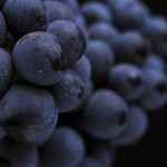 Eating a lot of berries can be harmful