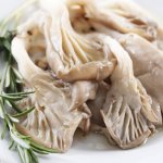 Oyster mushrooms can be salted all year round