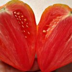 'Вкусные и ароматные помидоры, похожие на гигантские ягоды - удивительный томат "Немецкая красная клубника"' width="800