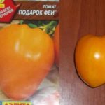 &#39;A tasty and stable variety with a high content of beta-carotene - tomato &quot;Fairy&#39;s Gift&quot;: reviews and photos of the harvest&#39; width=&quot;800