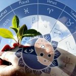 The influence of lunar phases on planting