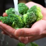 Выбираем сорта брокколи для выращивания в климате Подмосковья