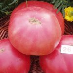 'Выращиваем от посева до сбора урожая томат "Розовое чудо F1": отзывы фермеров и практические рекомендации' width="800