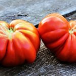 &#39;We grow our own large tomatoes with sweet, juicy, grainy pulp: the &quot;Buffalo Heart&quot; tomato&#39; width=&quot;800