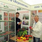 Agrosemtoms company exhibition