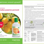 Yantarin VRK - description of the product and active ingredients