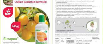 Yantarin VRK - description of the product and active ingredients