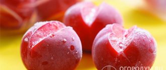 Замораживание как способ заготовки томатов приобретает все большую популярность у отечественных хозяек