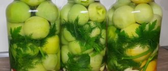 Armenian green tomatoes for the winter. Recipe with photo 